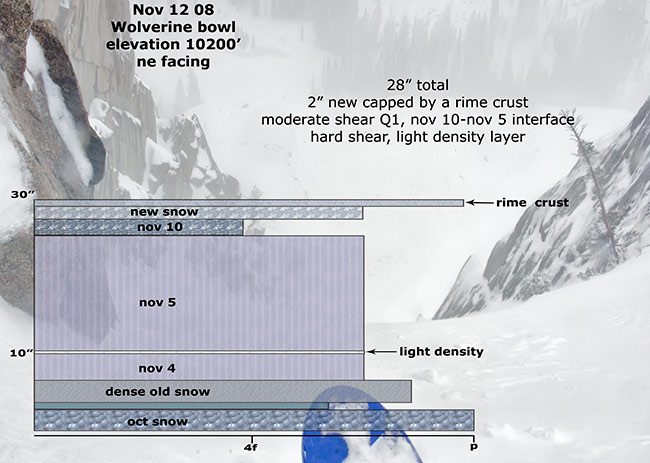 wolverine-snow-profile